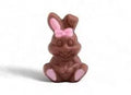 LAPINS DE PÂQUES DÉCORÉS EN CHOCOLAT 10g
