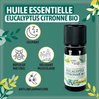 Huile essentielle d' Eucalyptus citronné- Certifiée Bio - 10mL