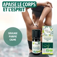 Huile essentielle d' Eucalyptus citronné- Certifiée Bio - 10mL